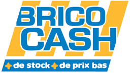 Logo Brico Cash — client G2C Solutions